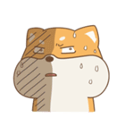 spoiled shiba（個別スタンプ：29）