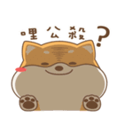 spoiled shiba（個別スタンプ：30）