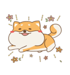 spoiled shiba（個別スタンプ：34）
