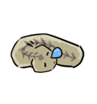 Planaria2017（個別スタンプ：31）
