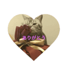 nathukiti（個別スタンプ：6）