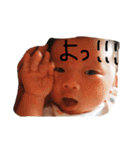 しんたろうの顔（個別スタンプ：5）
