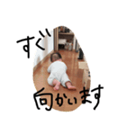 しんたろうの顔（個別スタンプ：6）