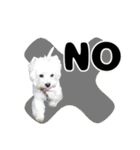 KAMETURU Sticker（個別スタンプ：15）