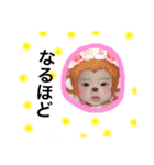 ririka sutanpu（個別スタンプ：17）