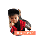 はるくんママの親バカ（個別スタンプ：10）