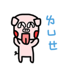 Pig daily（個別スタンプ：16）