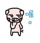 Pig daily（個別スタンプ：24）