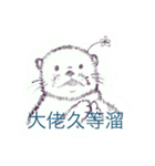 sea otter is coming（個別スタンプ：2）