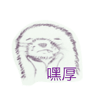 sea otter is coming（個別スタンプ：3）