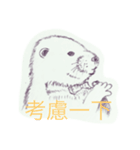 sea otter is coming（個別スタンプ：4）