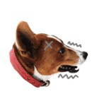 Red bean dog（個別スタンプ：9）