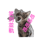 RUBI（個別スタンプ：5）