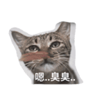 RUBI（個別スタンプ：9）