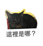 small Valley（個別スタンプ：3）