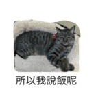 small Valley（個別スタンプ：5）