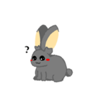兎のくうちゃんⅡ（個別スタンプ：3）