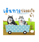 Husky Gang 2 (TH)（個別スタンプ：16）