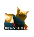 エキゾチック jam（個別スタンプ：6）