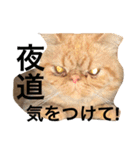 エキゾチック jam（個別スタンプ：9）