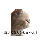 エキゾチック jam（個別スタンプ：10）