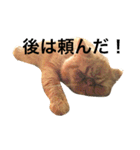 エキゾチック jam（個別スタンプ：11）
