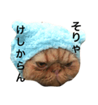 エキゾチック jam（個別スタンプ：15）