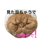 エキゾチック jam（個別スタンプ：23）