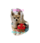 ベル＆チップ②（個別スタンプ：2）