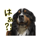 joykunnonitijou 2（個別スタンプ：2）