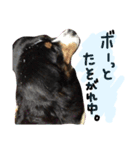 joykunnonitijou 2（個別スタンプ：3）