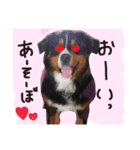 joykunnonitijou 2（個別スタンプ：5）