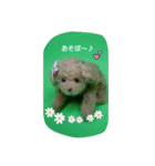 スタジオ ルマ（個別スタンプ：1）