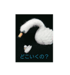 スタジオ ルマ（個別スタンプ：7）