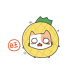 かんごネコの病院生活（個別スタンプ：35）