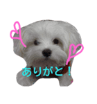 仲良し兄弟たち（個別スタンプ：7）