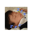 うちのまるすけ（個別スタンプ：2）