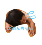 うちのまるすけ（個別スタンプ：3）