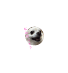 gjud（個別スタンプ：4）