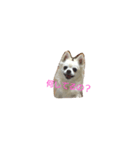 gjud（個別スタンプ：7）