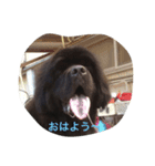 玄太＆カルロス（個別スタンプ：6）