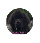 玄太＆カルロス（個別スタンプ：7）