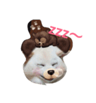 popopon（個別スタンプ：1）