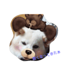 popopon（個別スタンプ：2）