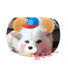 popopon（個別スタンプ：3）