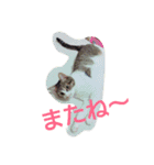 popopon（個別スタンプ：9）