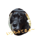 popopon（個別スタンプ：12）