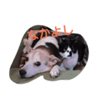 popopon（個別スタンプ：14）