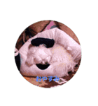 さすけふぁんのためのすたんぷ。（個別スタンプ：5）