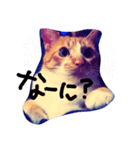 nitori life（個別スタンプ：2）